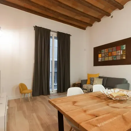 Historic Gothic 3br2ba Ac Work Desk Casa vacanze Barcellona
